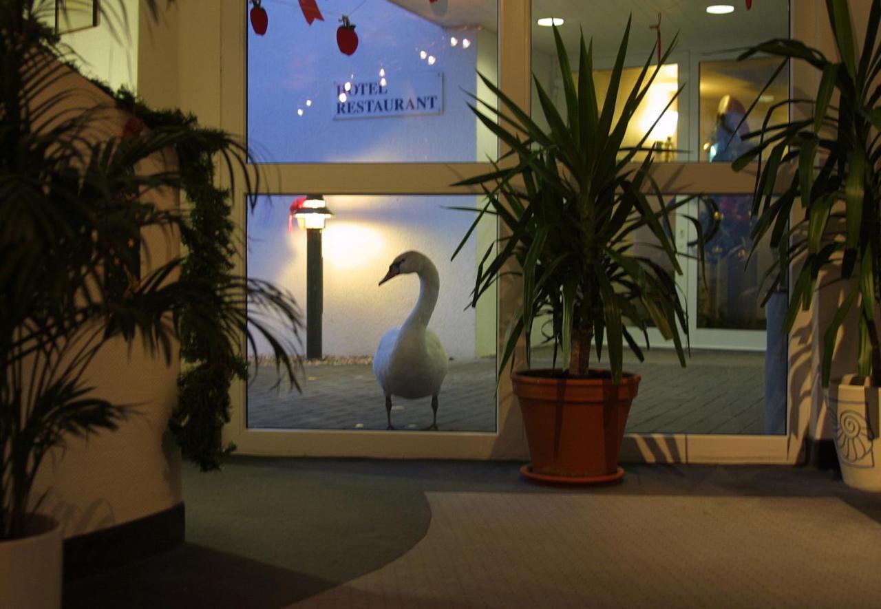 Seehotel Luisenhof Falkenhagen  Exterior foto